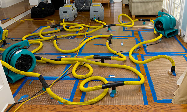 Professional Water Damage Repair technician working in Mineral Springs, AR
